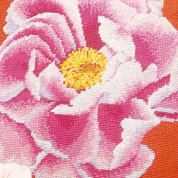 Coral Peony