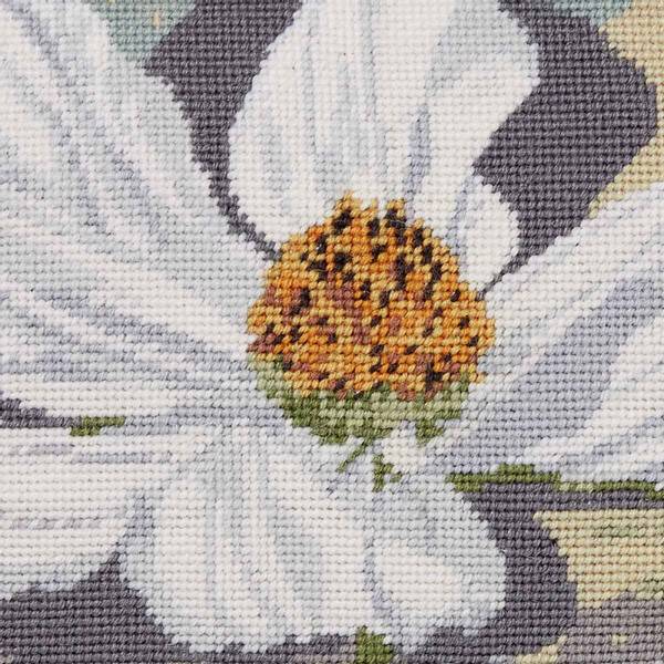 Cosmos Purity