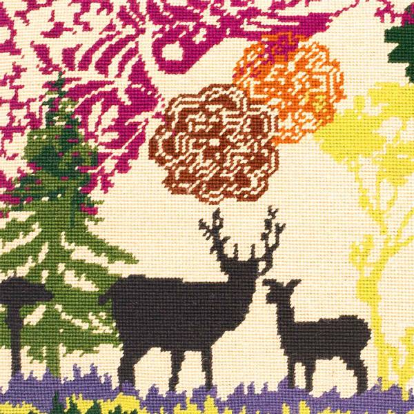 Enchanted Forest