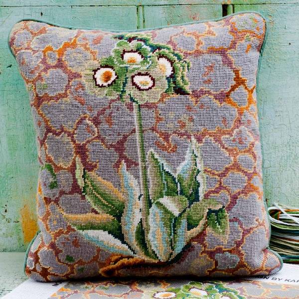 Lichen Auriculas
